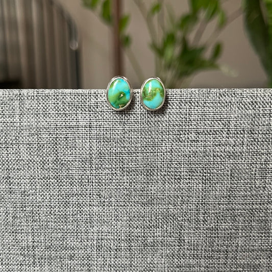 Oval Sonoran Turquoise Studs